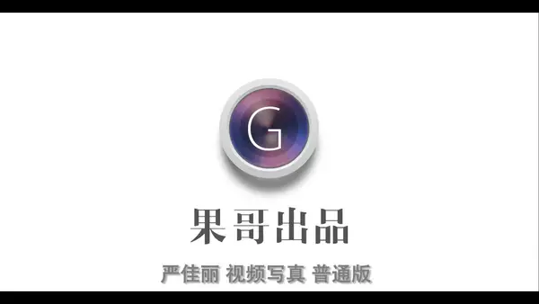 视频 2017.03.16 VN.043 严佳丽 - 秀人网视频